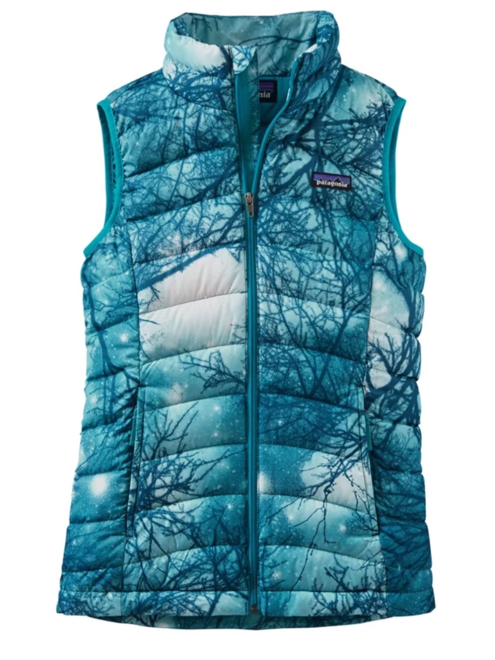 Patagonia “Down Sweater Vest”